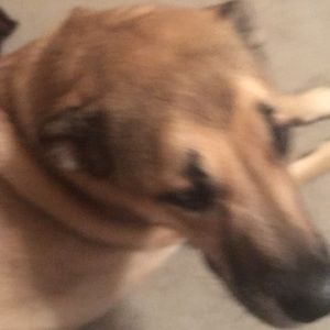 Meet your Posher, Kara